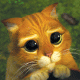 images/avatars/avatar-296.gif