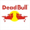 images/avatars/avatar-352.jpg